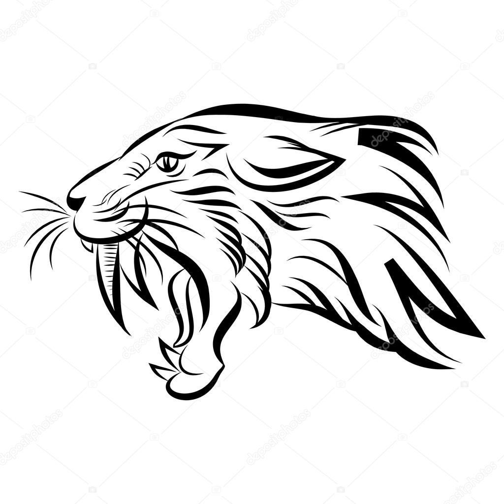 Vector illustration of head of saber-toothed tiger or smilodon isolated on white background