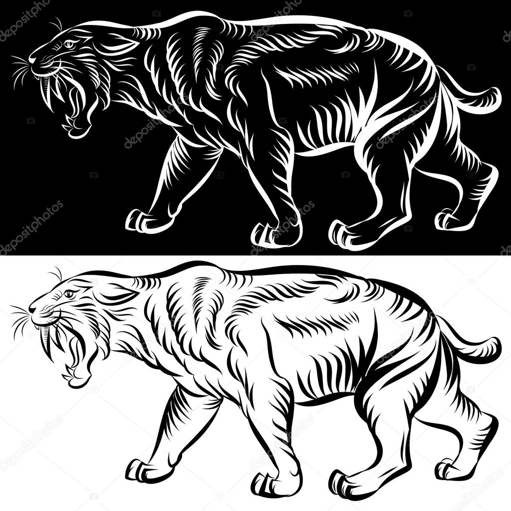Vector illustration of saber-toothed tiger or smilodon isolated on white background