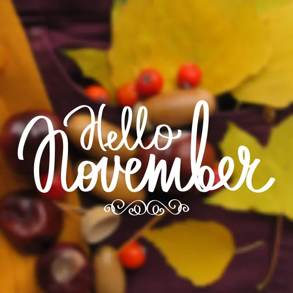 Caligrafie vectorială realizată manual și text Hello november — Vector de stoc