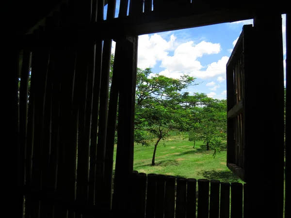 晴れた日には木々や緑の畑 青い空の景色を望む木の家の中 — ストック写真