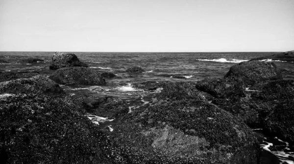 Moře Nebezpečnými Skalami Vlnitým Oceánem — Stock fotografie