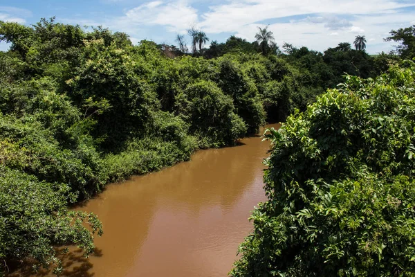 Krajobraz Rzeki Sao Lourenco Położony Mieście Ibitinga Stan Sao Paulo — Zdjęcie stockowe
