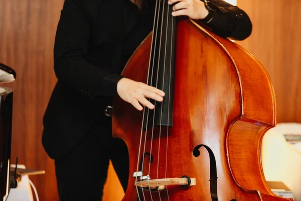 Close Hand Contrabass Player Playing Double Bass Stage Classical Music — Stock Photo, Image