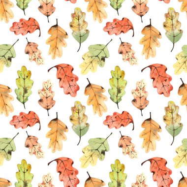 Suluboya meşe yapraklı desen. Beyaz bir arkaplanda