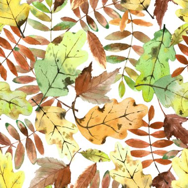 Parlak sonbahar yapraklı suluboya deseni beyaz arkaplanda izole