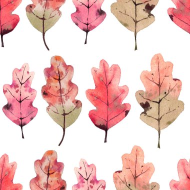 Suluboya meşe yapraklı desen. Beyaz bir arkaplanda