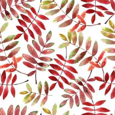 Parlak sonbahar yapraklı suluboya deseni beyaz arkaplanda izole