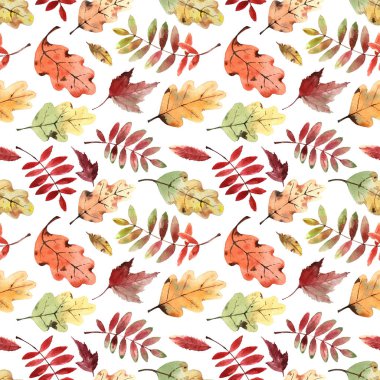 Parlak sonbahar yapraklı suluboya deseni beyaz arkaplanda izole