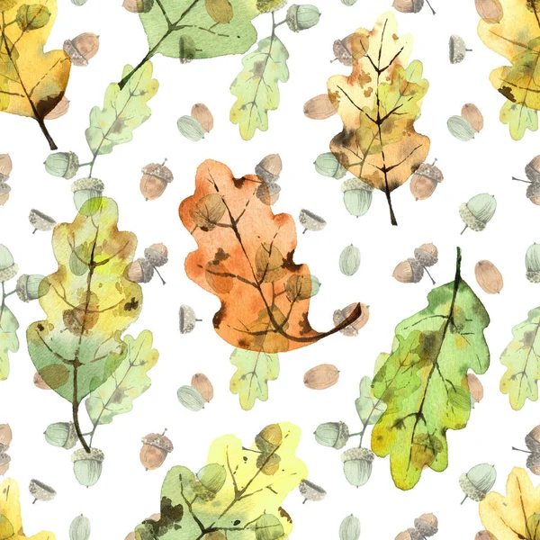 水色橡树叶和橡果的图案 背景是白色的 — 图库照片