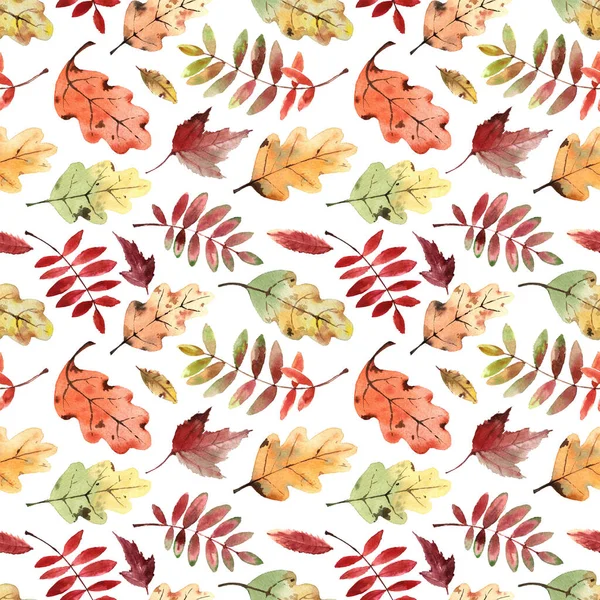 Akvarel Vzor Jasnými Podzimními Listy Izolované Bílém Pozadí — Stock fotografie