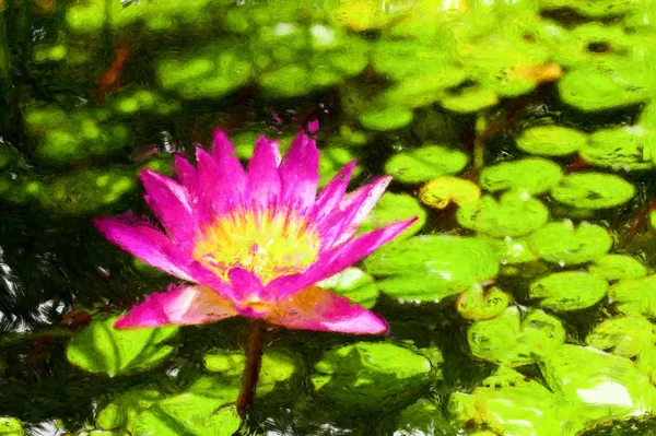 Målade havet lily — Stockfoto