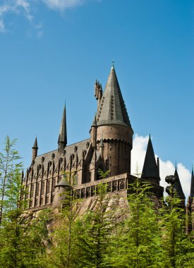 harry potter ve büyücü dünya