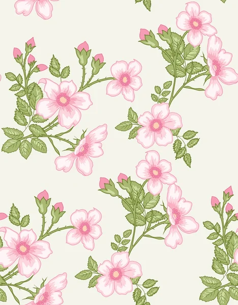 Patrón floral sin costuras — Archivo Imágenes Vectoriales