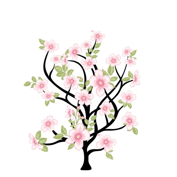 Arbre de printemps — Image vectorielle