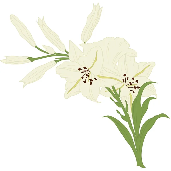 Tarjeta de felicitación floral — Vector de stock