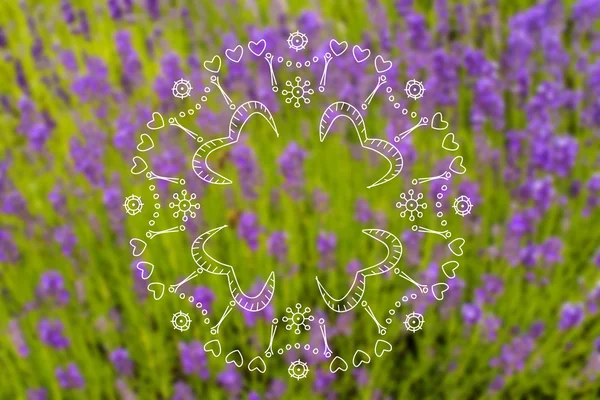 Fondo borroso de lavanda de verano — Foto de Stock