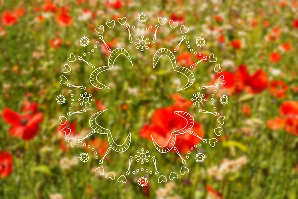 Illustration d'été avec prairie de coquelicots — Photo