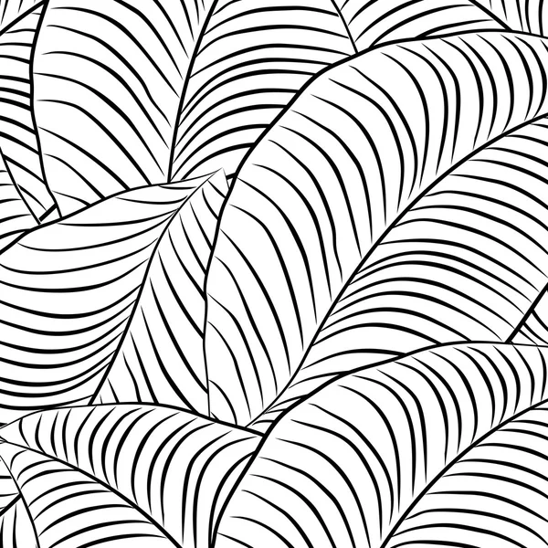 Black and white leaves vector background — Stock Vector