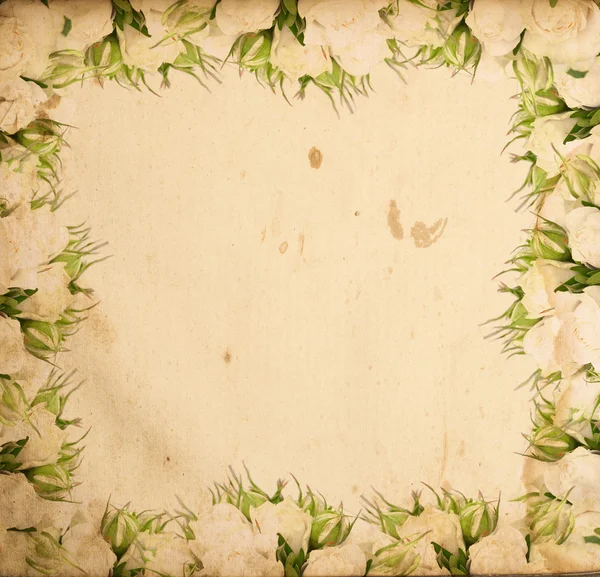 Vintage flower background — Stock Photo, Image