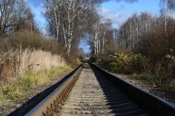 a narrow-gauge railway extending into the distance. Bare trees along the railway.