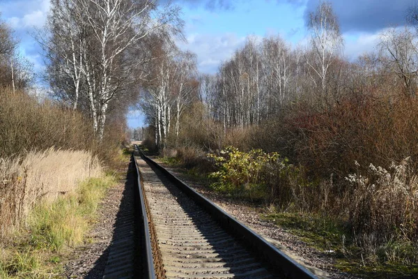 A narrow-gauge railway close-up extending into the distance. Bare trees along the railway.