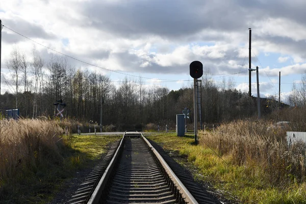 A narrow-gauge railway extending into the distance. Railway crossing in the distance