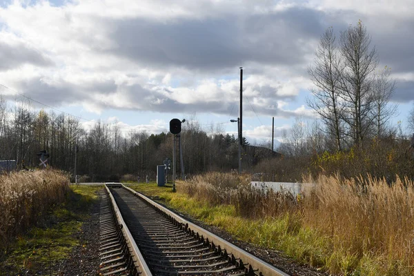 A narrow-gauge railway extending into the distance. Railway crossing in the distance