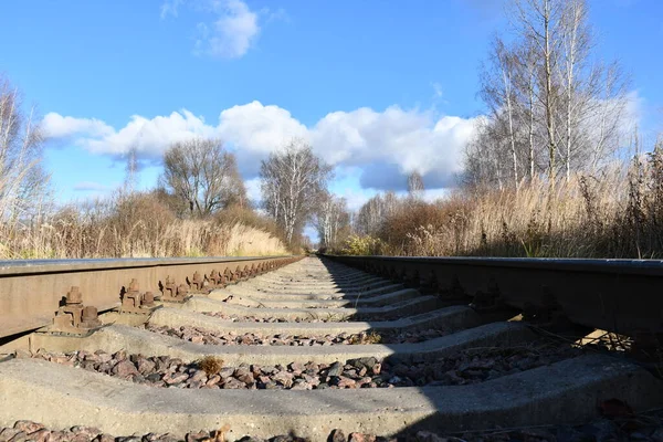 A narrow-gauge railway close-up extending into the distance. Bare trees and bushes along the railway.