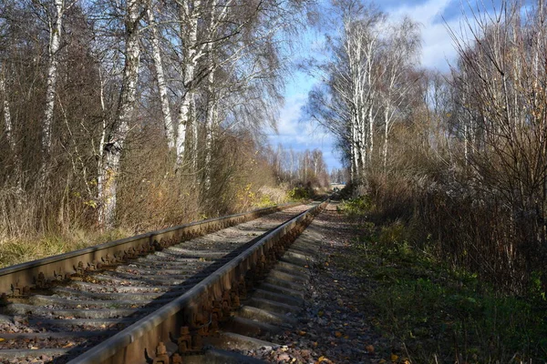 A narrow-gauge railway close-up extending into the distance. Bare trees and bushes along the railway.