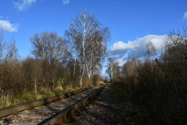 A narrow-gauge railway close-up extending into the distance. Bare trees and bushes along the railway.