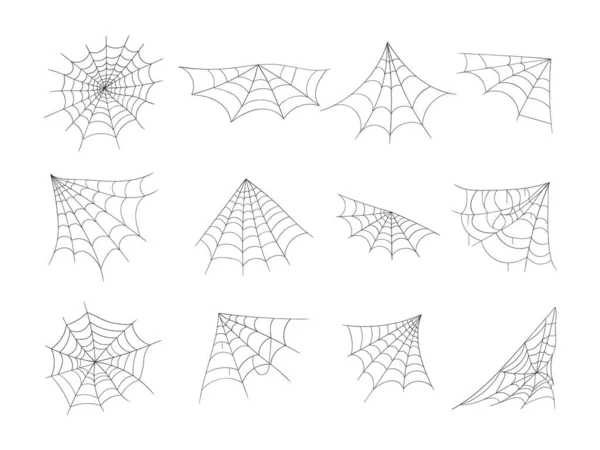 Cobweb, spider web. — Stock Vector