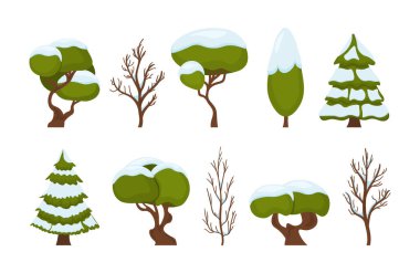 Kış kar ağaçları.