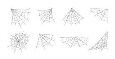 Örümcek ağı, örümcek ağı.