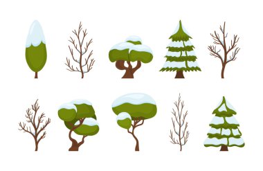 Kış kar ağaçları.