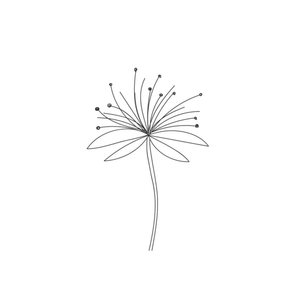 Doodle fluffy dandelions. — Stock Photo, Image
