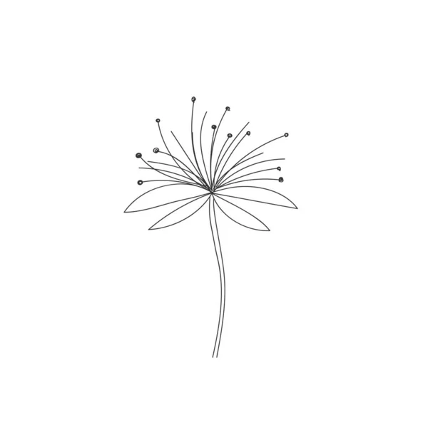 Doodle pluizige paardebloemen. — Stockfoto