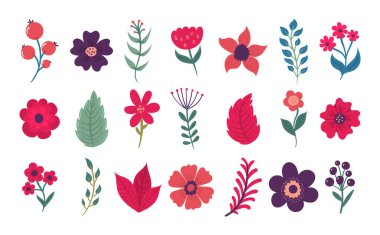 Çiçek yapraklı çiçek seti..