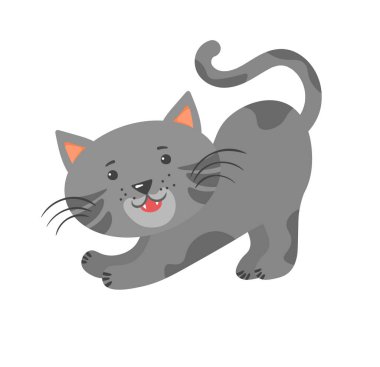 Sevimli kedi yavruları ve kedi karakterleri..