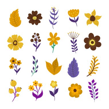 Çiçek yapraklı çiçek seti..