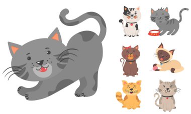 Sevimli kedi yavruları ve kedi karakterleri..