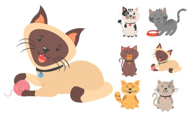 Sevimli kedi yavruları ve kedi karakterleri..