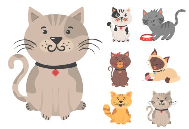 Sevimli kedi yavruları ve kedi karakterleri..