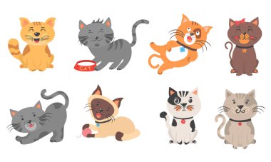 Sevimli kedi yavruları ve kedi karakterleri..