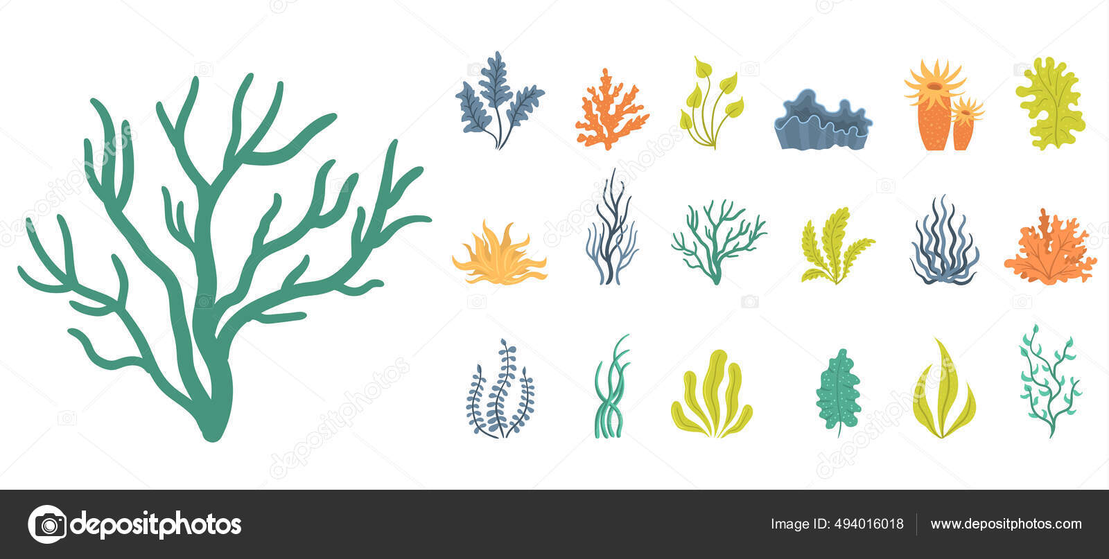 https://st2.depositphotos.com/33603760/49401/v/1600/depositphotos_494016018-stock-illustration-set-of-seaweeds-underwater-sea.jpg