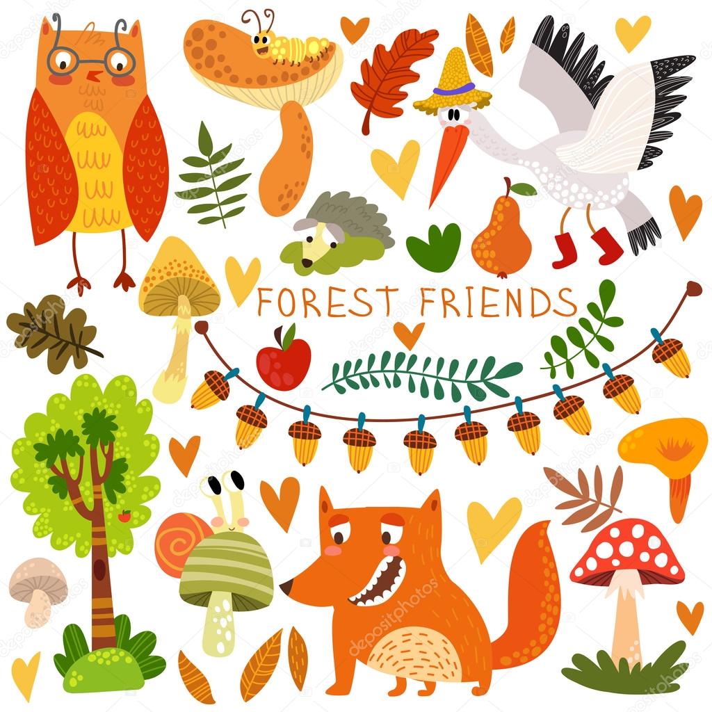 Woodland and Forest Animals.