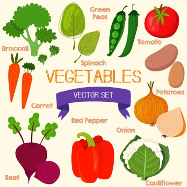 Tasty vegetables in bright set. Spinach, broccoli, carrots, beet