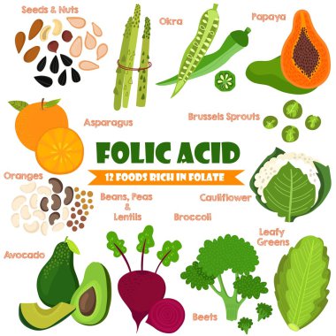 Vitamins and Minerals foods Illustrator set 14.Vector set of 12 