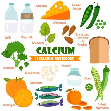 Vitamins and Minerals foods Illustrator set 15.Vector set of 14 