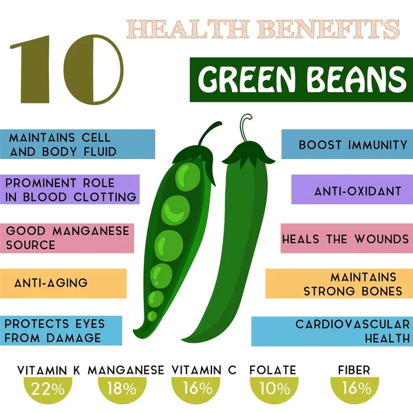 10 Informations sur les bienfaits des haricots verts pour la santé. Infographie sur les nutriments — Image vectorielle