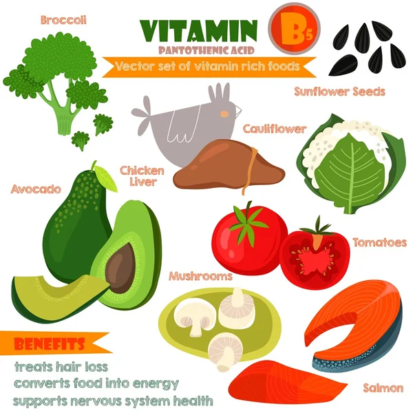 Vitamins and Minerals foods Illustrator set 9.Vector set of vita — Stock Vector